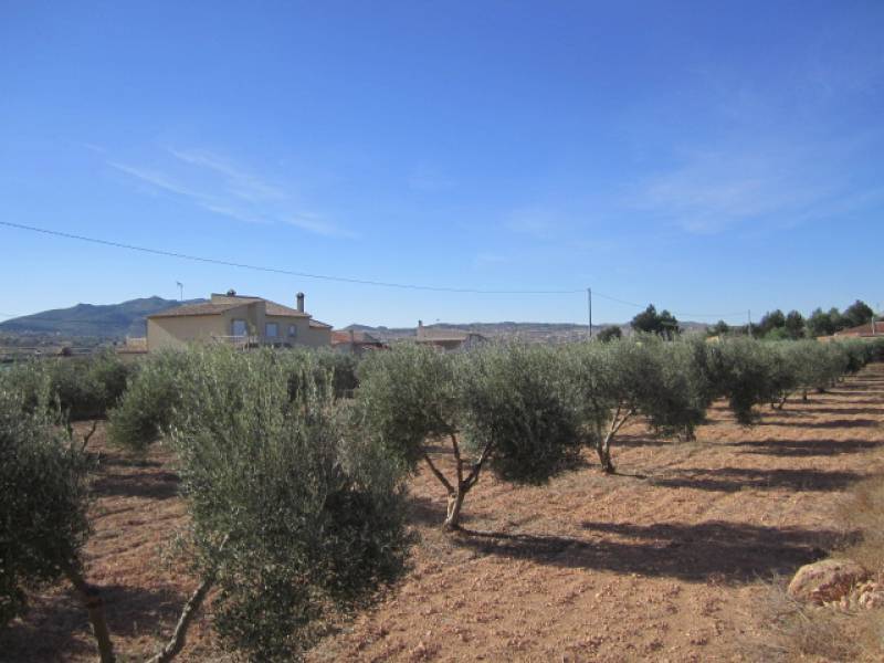 Re-sale - Country house - Hondon De Los Frailes - CASAS DE GALIANA