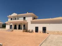 New Build - Villa - Pinoso