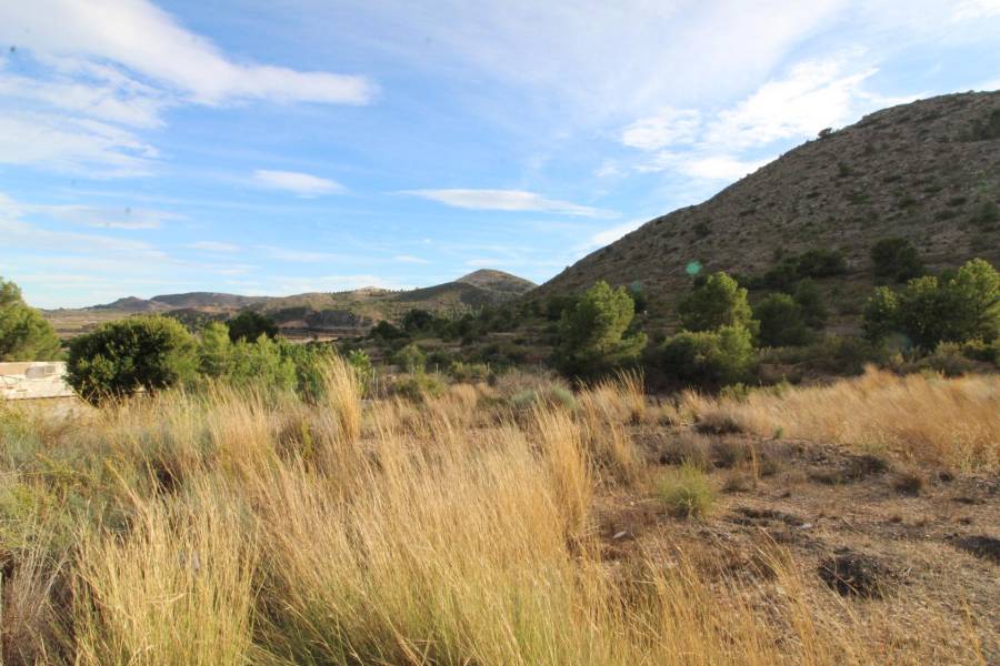 Re-sale - Country house - Aspe - La ofra