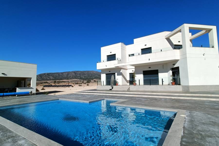 Obra Nueva - Casa de campo - Pinoso