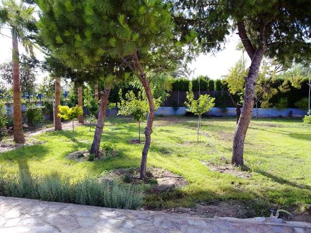 Venta - Casa de campo - Elche