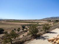 Venta - Casa de campo - Pinoso