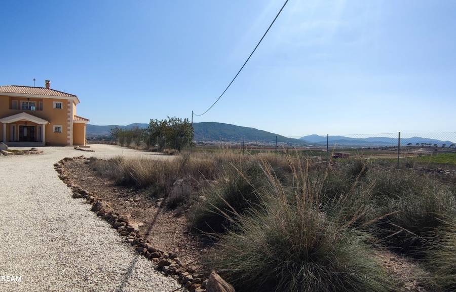 Venta - Casa de campo - Pinoso