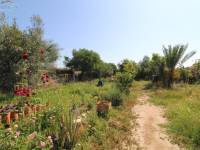 Venta - Casa de campo - Aspe