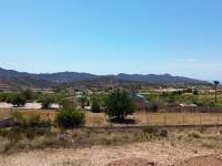 New Build - Country house - Macisvenda