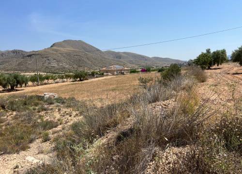 Plot - Re-sale - Barbarroja - Barbarroja