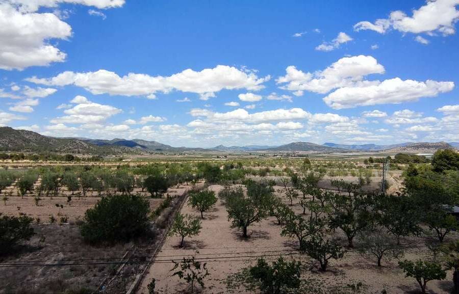 Re-sale - Townhouse - Casas del Señor