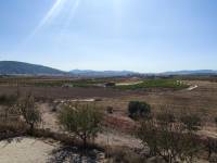 Venta - Casa de campo - Pinoso