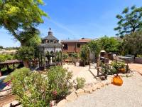 Venta - Casa de campo - Petrer