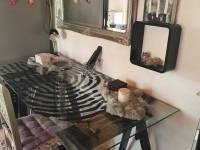 Re-sale - Country house - Hondon De Las Nieves