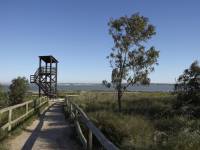 New Build - Penthouse - San Miguel de Salinas - San Miguel De Salinas