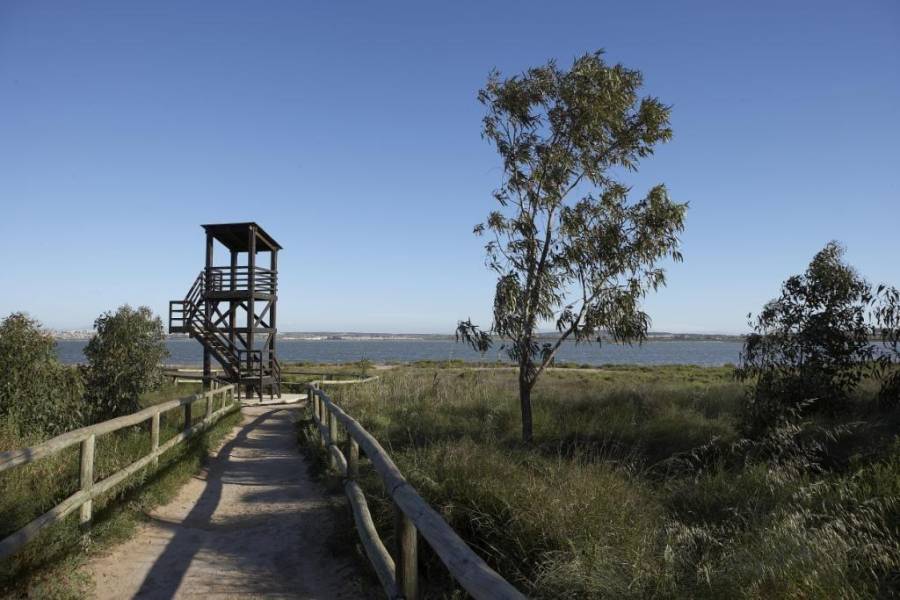 New Build - Penthouse - San Miguel de Salinas - San Miguel De Salinas