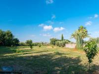 Re-sale - Country house - Mutxamel