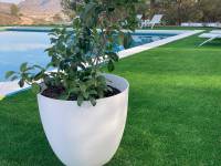 Venta - Casa de campo - Petrer - Loma badá