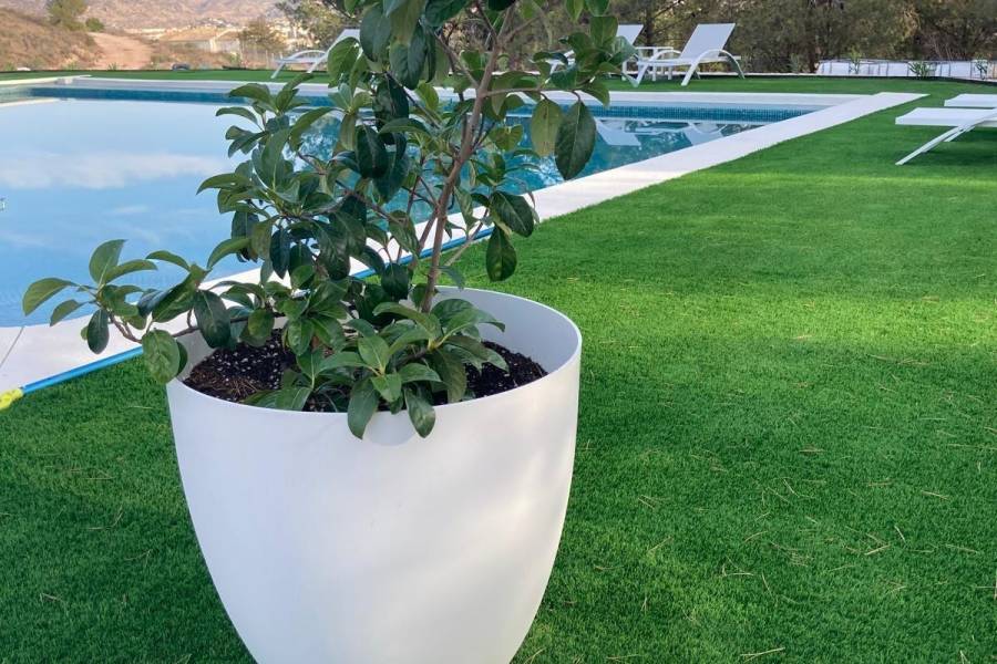 Venta - Casa de campo - Petrer - Loma badá