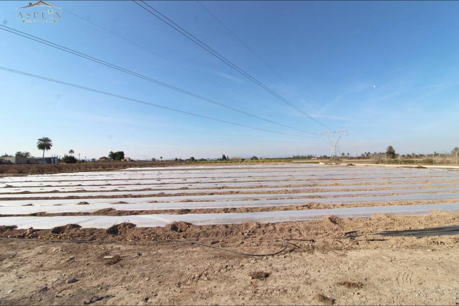 Re-sale - Country house - La Hoya - Countryside