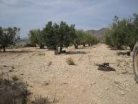 Re-sale - Cave house - Novelda