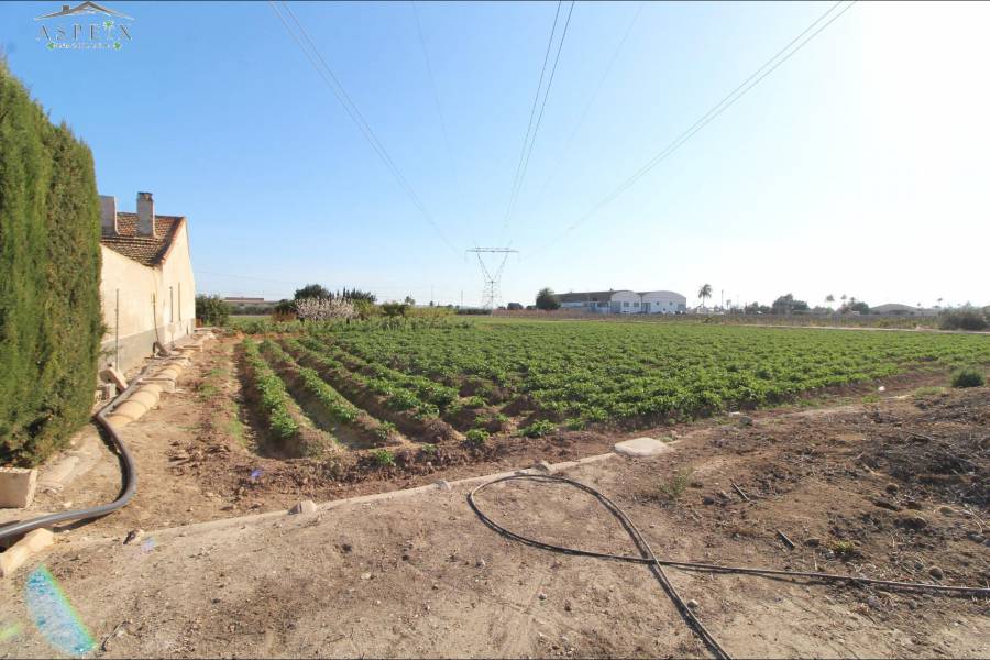 Venta - Casa de campo - La Hoya - Campo