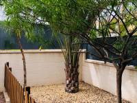 Re-sale - Villa - Aspe