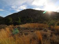 Re-sale - Country house - Aspe - La ofra