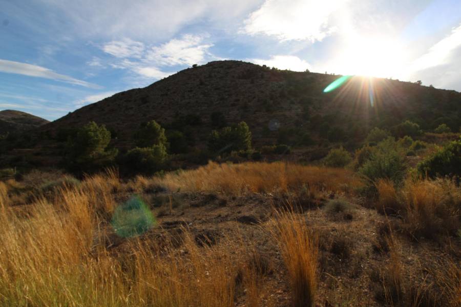 Re-sale - Country house - Aspe - La ofra