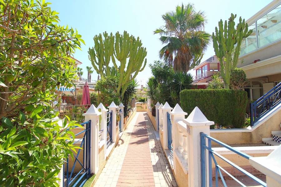 Re-sale - Duplex - Playa Flamenca - Alicante