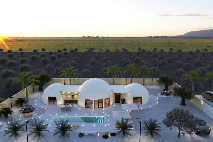 Obra Nueva - Casa de campo - Pinoso